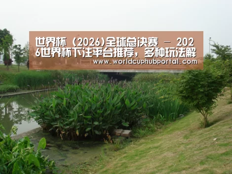 案例展示四(图1)