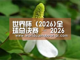 产品名称三