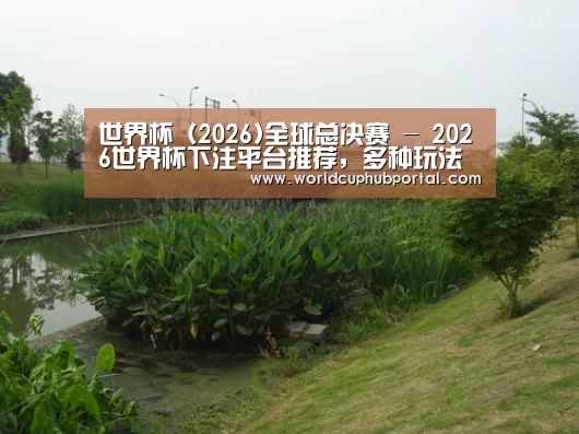 案例展示四