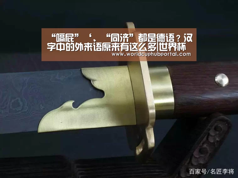 “嗝屁”‘、“同济”都是德语?汉字中的外来语原来有这么多|世界杯外围买球(图2) 世界杯投注