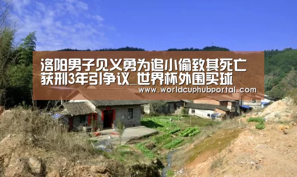 洛阳男子见义勇为追小偷致其死亡 获刑3年引争议_世界杯外围买球(图2) 世界杯买球网站