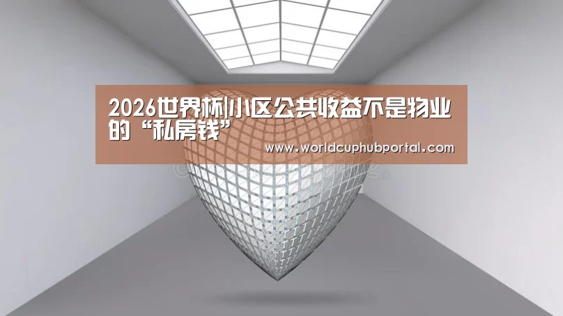 2026世界杯|小区公共收益不是物业的“私房钱”