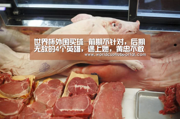 世界杯外围买球-前期不针对,后期无敌的4个英雄,遇上她,黄忠不敢开大,一个大五杀!(图1) 2026世界杯