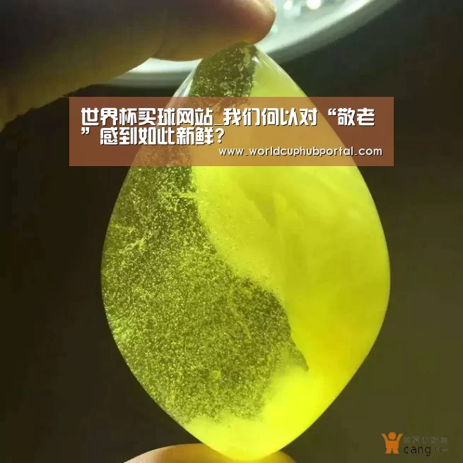 2026世界杯