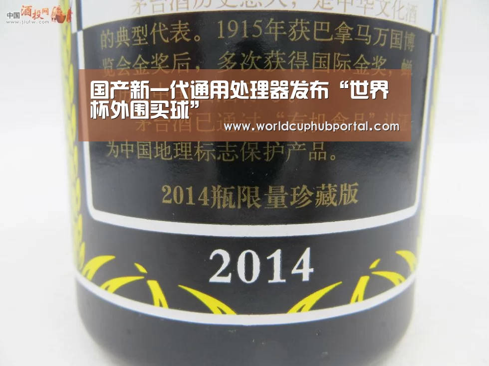 国产新一代通用处理器发布“世界杯外围买球”