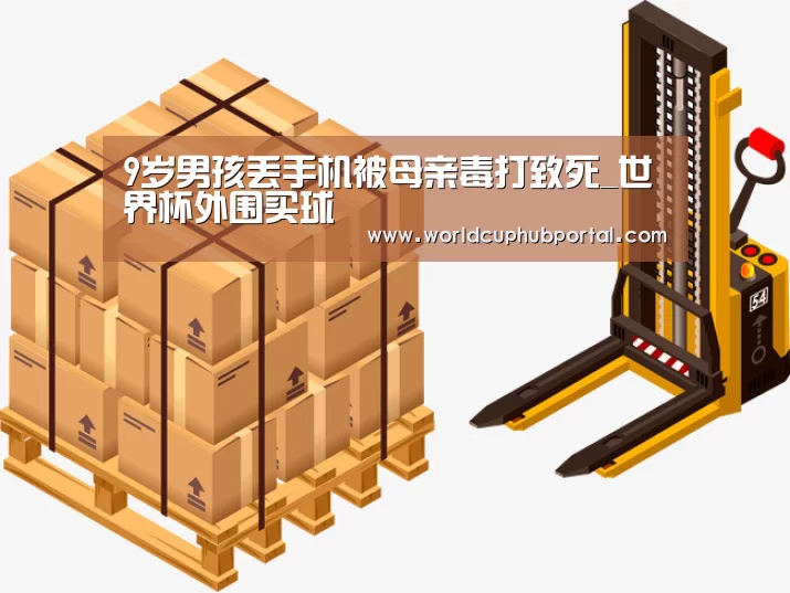 9岁男孩丢手机被母亲毒打致死_世界杯外围买球(图2) 2026世界杯